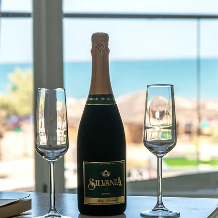 Apartament Horizon View & Pool Năvodari